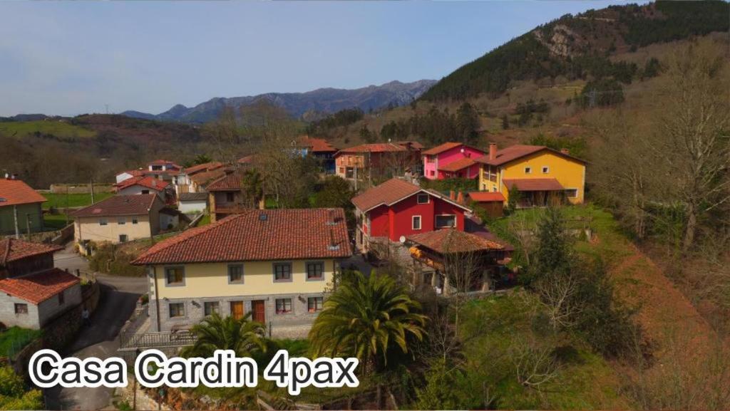 Casa Cardin Apartment Cangas de Onis