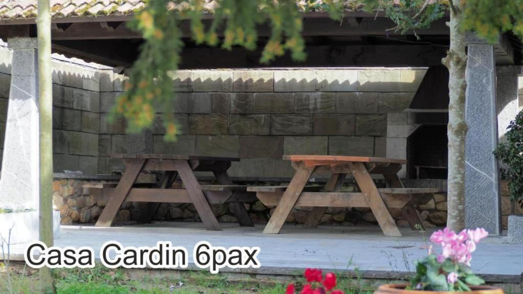 Apartment Casa Cardin